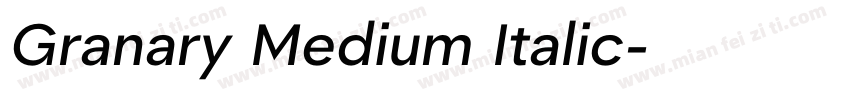Granary Medium Italic字体转换